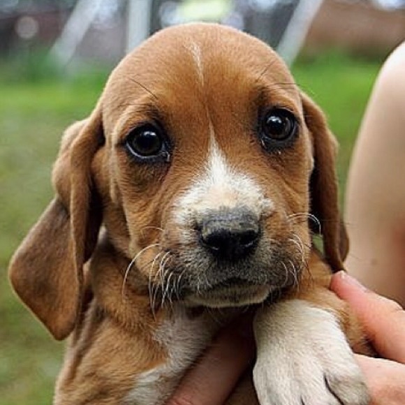 Meet your Posher, N b - Picture 1 of 1